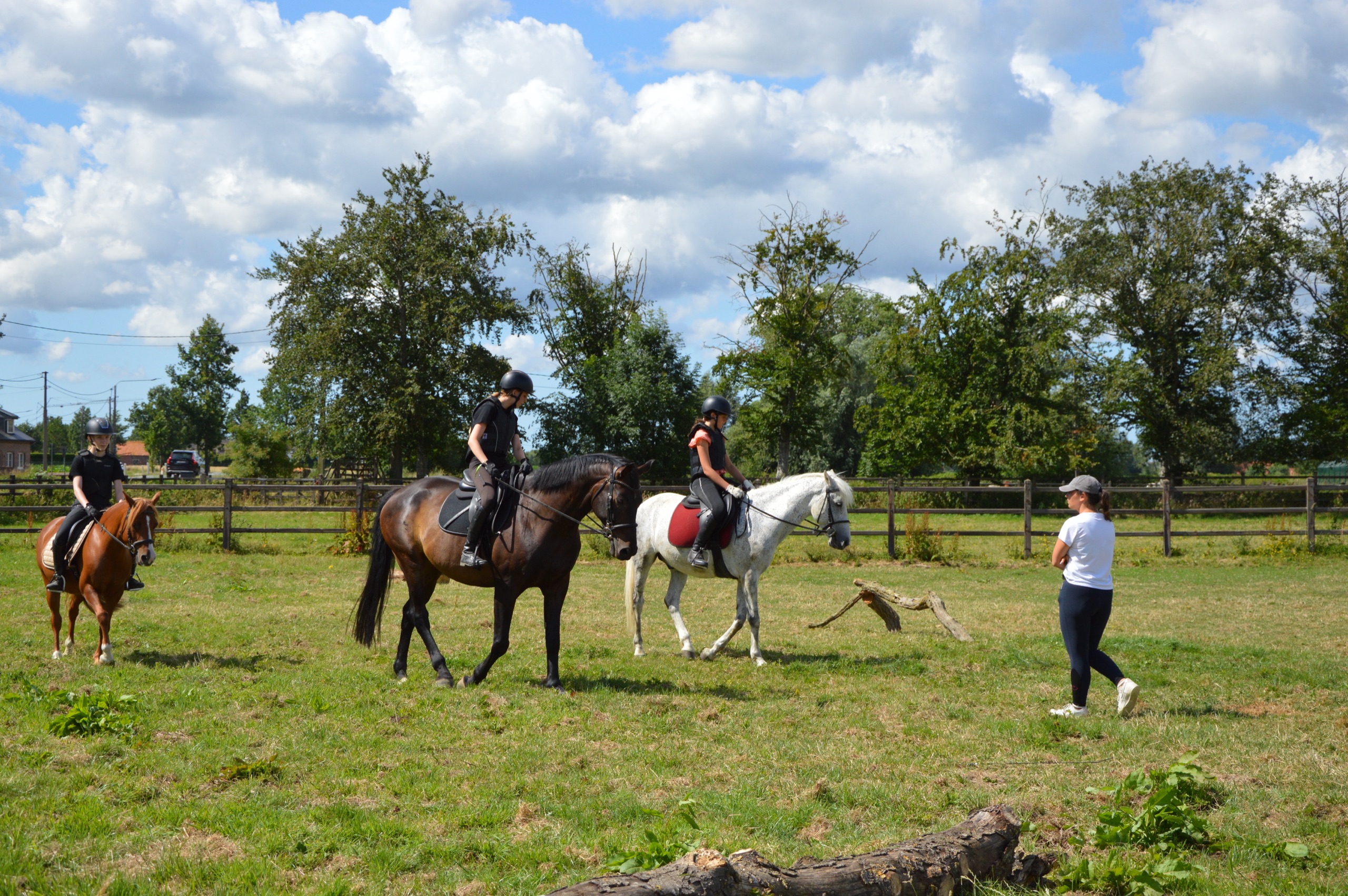 Les op de weide: ruiters te paard luisteren naar de instructrice