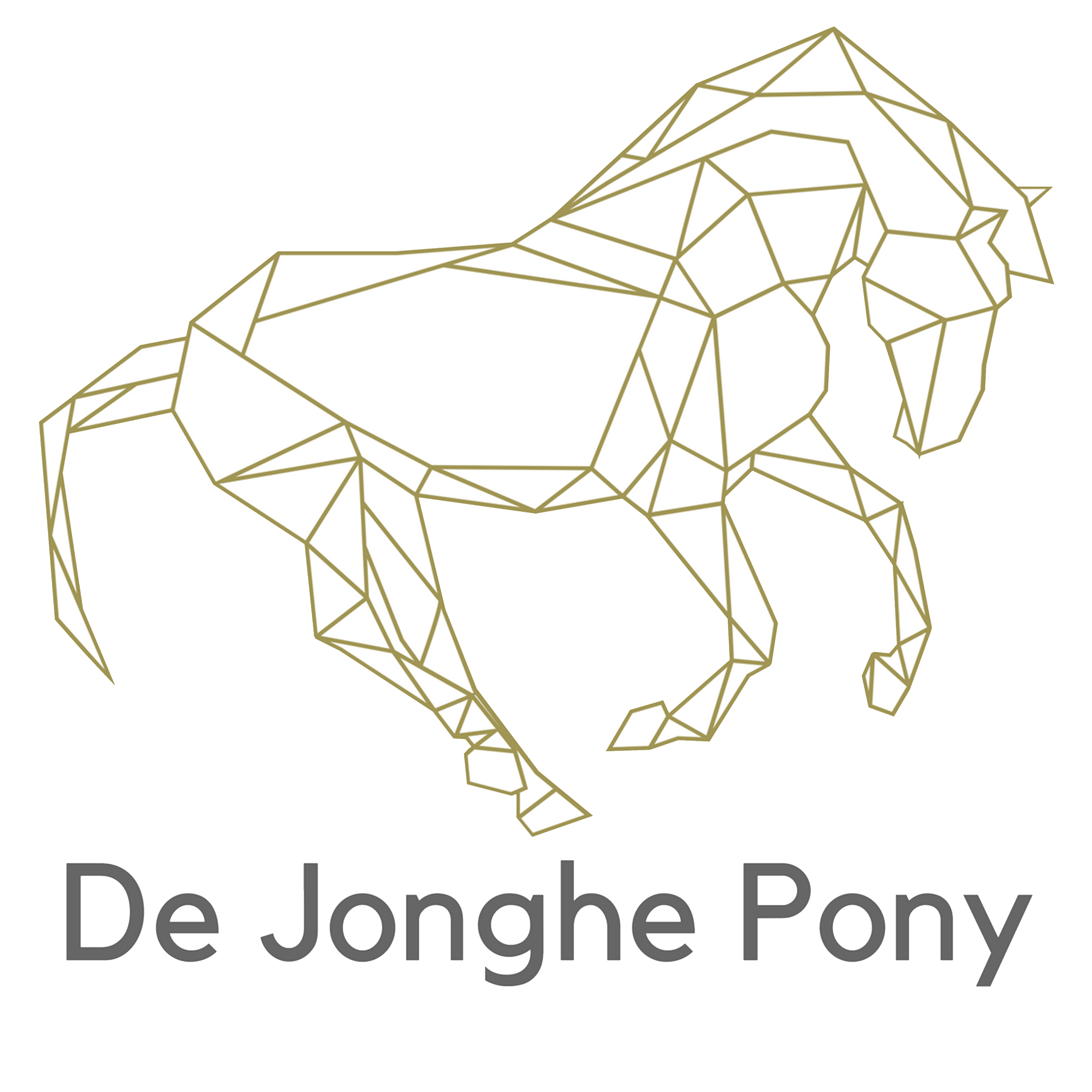Logo De Jonghe Pony